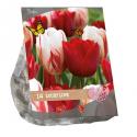 Baltus Urban Flowers Lucky Love bloembollen per 14 stuks